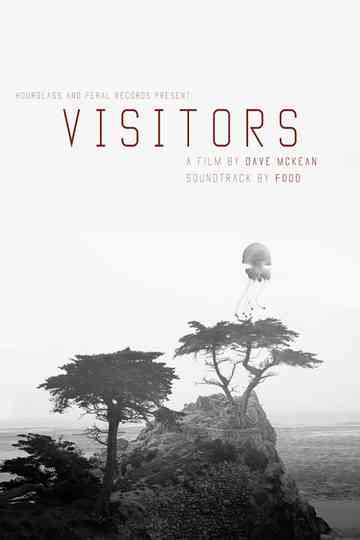 Visitors Poster