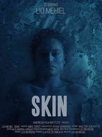 Skin Poster