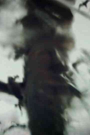 Spirit Stills Poster