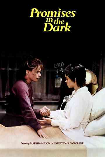 Promises in the Dark Poster