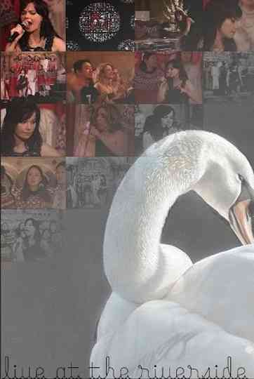 Björk: Live at Riverside Church Poster