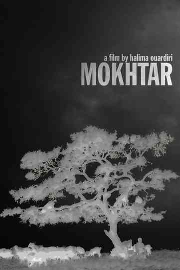 Mokhtar Poster