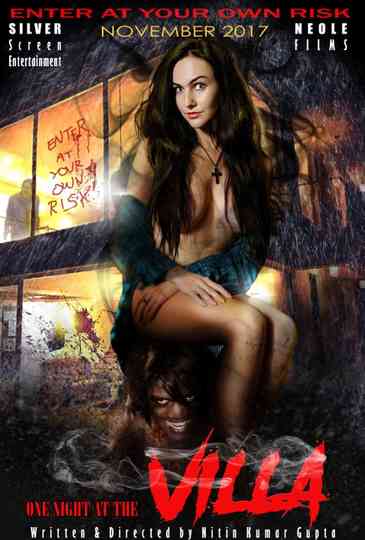 One Night at Villa Poster