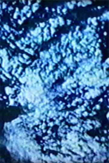 Haruyama Myomi Nobujo Poster