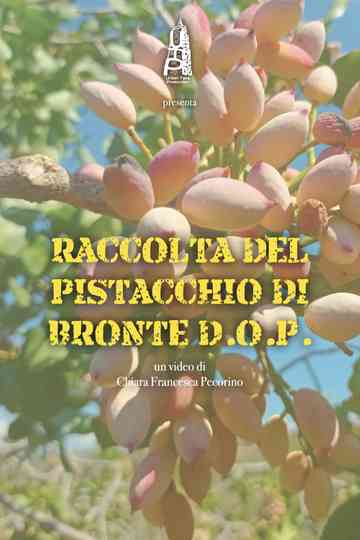 Raccolta del pistacchio di Bronte DOP Poster