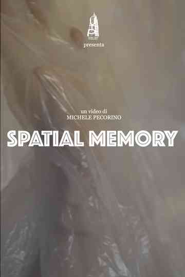 Spatial Memory Poster
