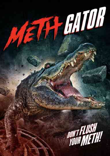 Meth Gators Poster