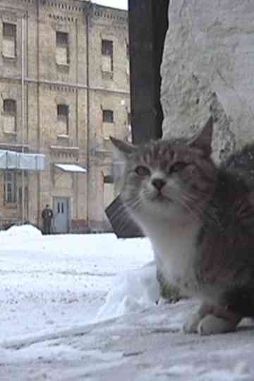 Nebalta drobė Poster