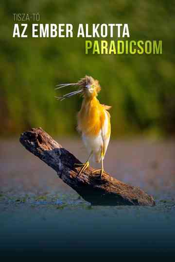 A Man-Made Paradise Poster