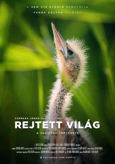 Hidden World: The Story of Hungary's Wild Waters Poster