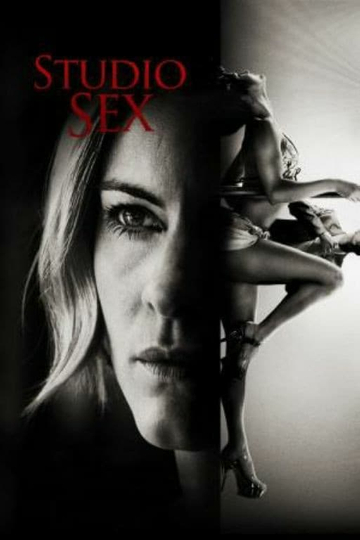 Annika Bengtzon Crime Reporter  Studio Sex Poster