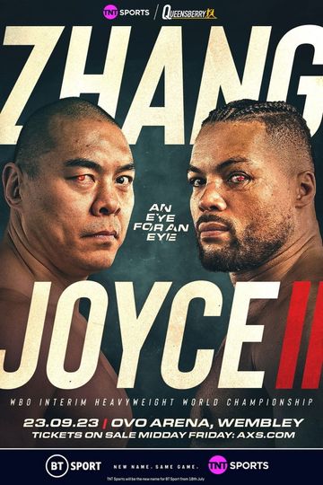 Zhilei Zhang vs Joe Joyce II