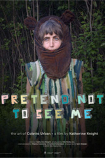 Pretend Not to See Me Poster