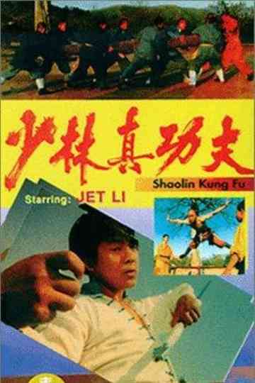 Shaolin Kung Fu Poster