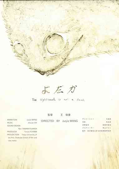 The Nighthawk Is Not a Hawk Poster