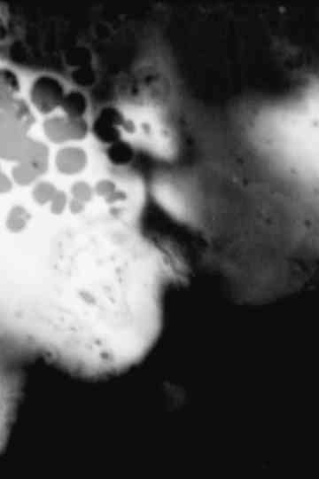 DigressionDegression Poster