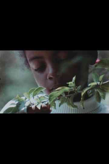 Celebration of Life: Trees Poster