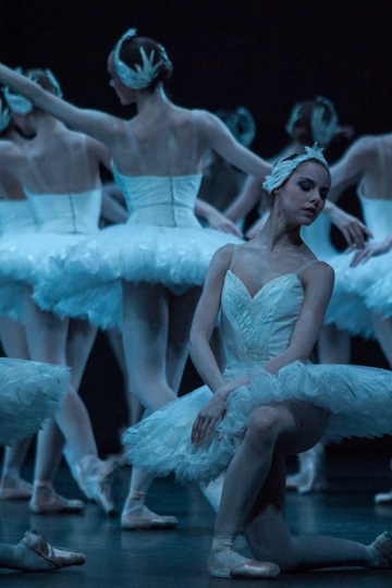 Swan Lake  The Australian Ballet