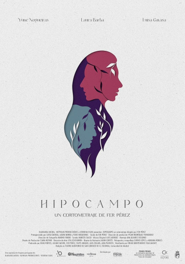 Hipocampo