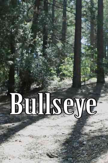 Bullseye Poster