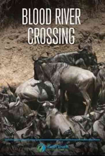 Blood River Crossing Poster
