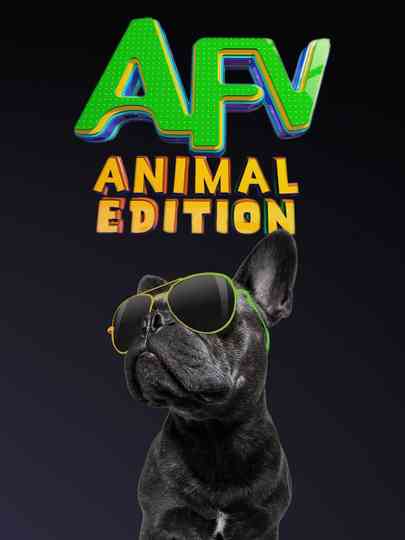 America's Funniest Home Videos: Animal Edition Poster