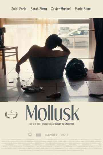 Mollusk Poster