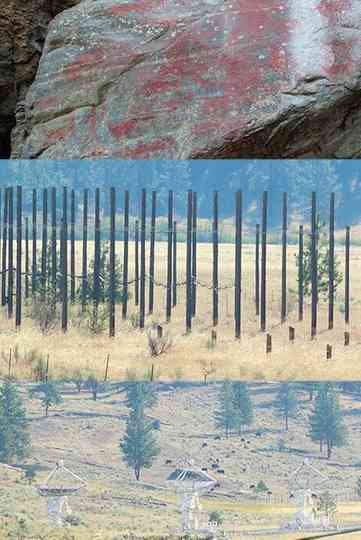 Origins of consciousness Poster