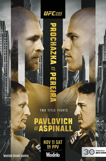 UFC 295 Prochazka vs Pereira Poster