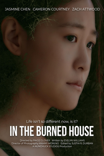 In the Burned House Poster