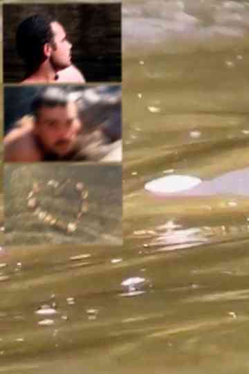 o rio que se lança sobre o rio Poster