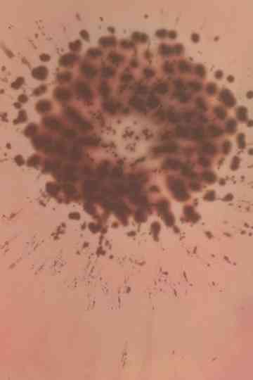 451 Saddler Street 44°10’20.6”N 80°49’27.0”W Poster