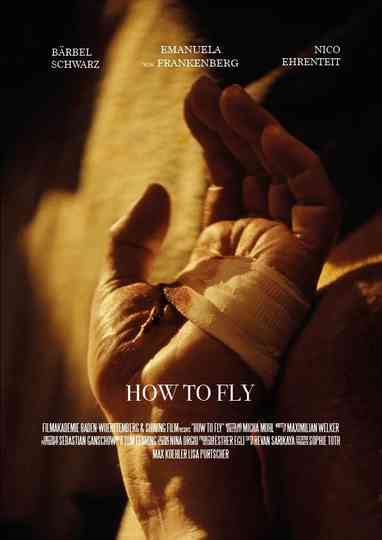 How to Fly Poster