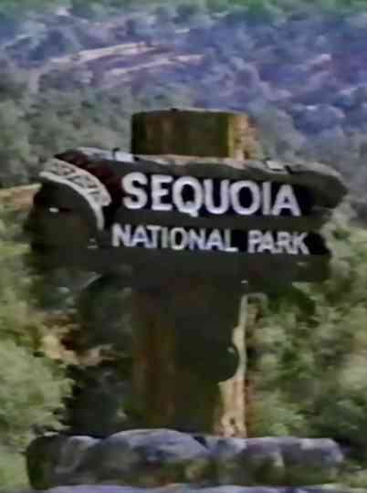 One Day On Beetle Rock Poster