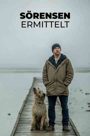 Sörensen ermittelt-Filmreihe Poster