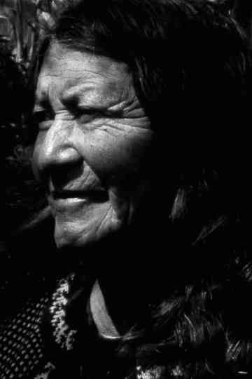 Manu: A Visual Album Poster