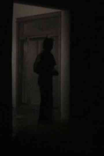 a film about nothing or my friend, jake, in new mexico