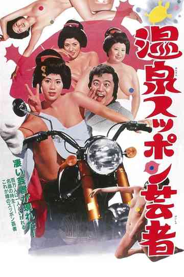 Turtle Geisha poster