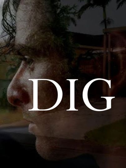 DIG