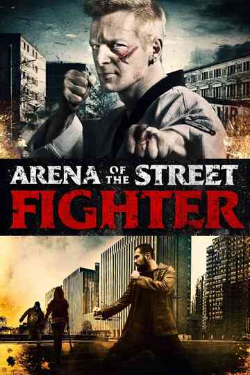 Arena of the Street Fighter Poster
