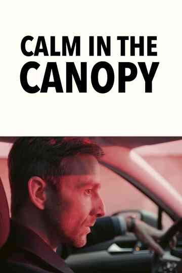 Calm in the Canopy Poster