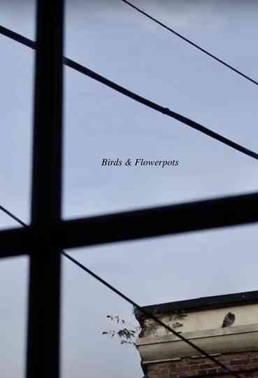 Birds & Flowerpots Poster