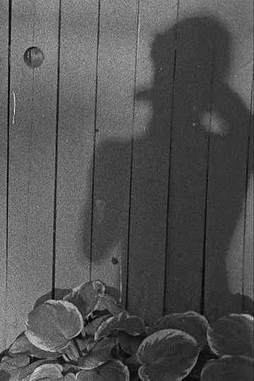 Feather Family Poster