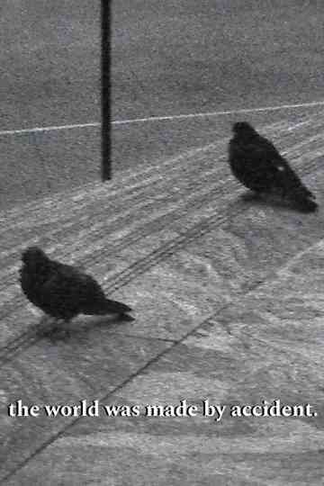 the world was made by accident. Poster