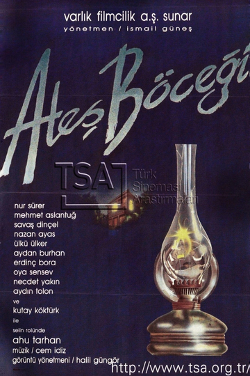 Ateş Böceği Poster