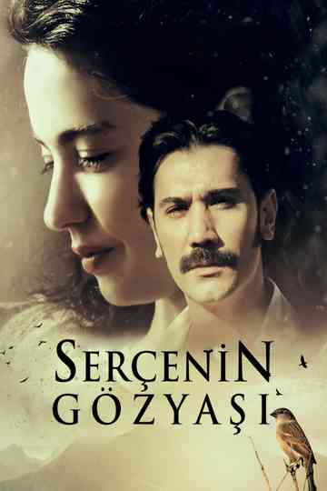 The Sparrow's Tear Poster