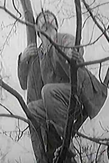 Road for Angels Poster