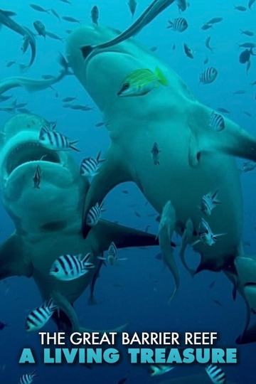 The Great Barrier Reef: A Living Treasure