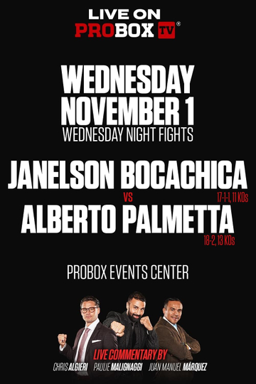 Janelson Bocachica vs. Alberto Palmetta