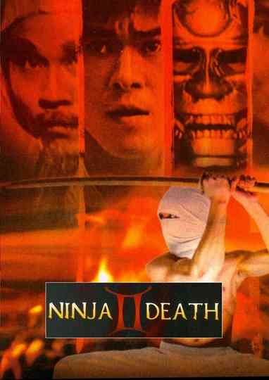Ninja Death 2 Poster